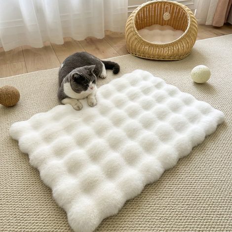 Tapis Chauffant Pour Animaux - Tapis Thermique Autochauffant En Polyester - Pour Chats Et Chiens Intérieurs Ou Extérieurs - 50 x 35 cm - 1 Pièce (1/5)
