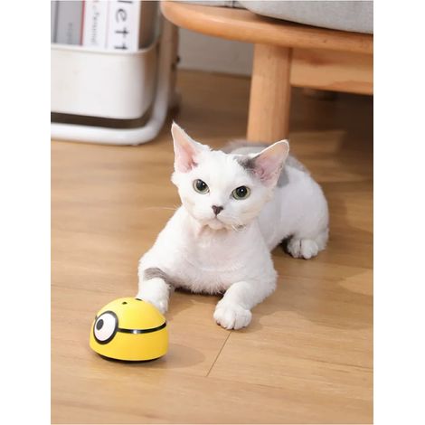 Jouet intelligent anti-fugue pour chat et chien, marche automatique, jouet interactif pour enfants et animaux de compagnie, capteur infrarouge