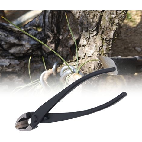 Ciseaux de Jardinage Professionnels pour Bonsaï, Taille-Branche Incliné 210mm - KZQ (1/2)