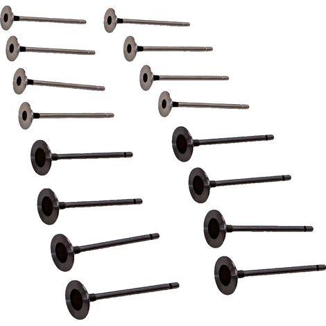 Kit de válvulas, compatible con Renault Clio II-III, Kangoo, Laguna I-II, Megane I-II, Scenic I-II (1/5)