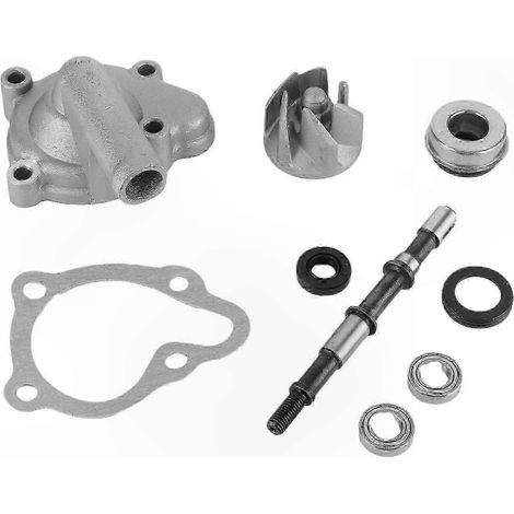Wasserpumpe für 250cc Roller/Quad (Geländefahrzeug) (1/2)