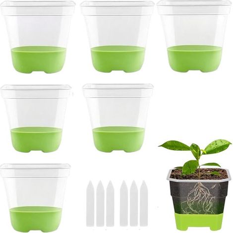 Lot de 6 plateaux de semis carrés transparents en plastique, verts, avec étiquettes pour plantes. Adaptés aux semis et aux plantes à fleurs. (1/5)