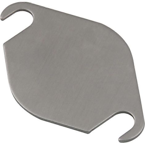 Plaque d'obturation de soupape pour moteur FORD 1.8 TDCi Duratorq (1 pièce) - SFYGV (1/5)