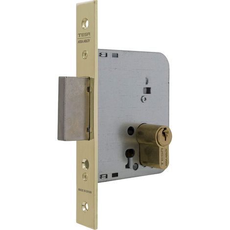 Tesa Assa Abloy 203140HL Serratura Da incasso Per Porte In Legno Con Cilindro Ottone Ingresso 40 mm, Frontale Quadrato 2031 (1/3)