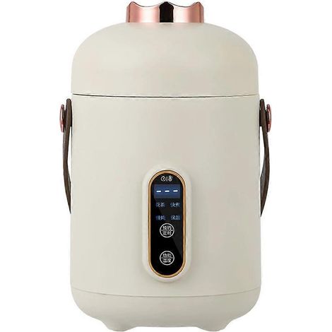Mini-Reisereiskocher, kleiner elektrischer Wasserkocher für unterwegs, Haushaltstopf für Nudeln, Suppen und zum Wasserkochen, EU-Stecker (1/5)