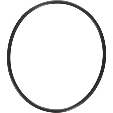 Ersatz-O-Ring für Mehrwegeventile und Sandfiltersysteme (1/4)