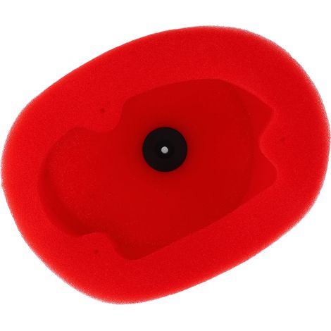 Filtre à air double mousse pour moto, protection moteur, filtre d'admission d'air pour BLASTER YFS200 BREEZE YFA1 (1/5)