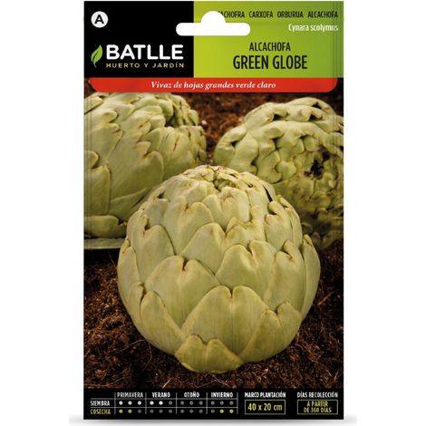 Semillas de Alcachofa Green Globe Batlle (1/2)