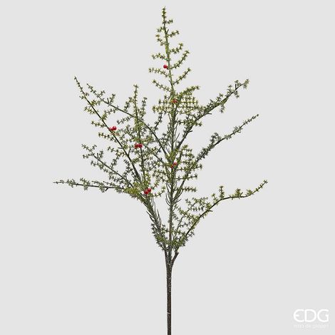 EDG Enzo De Gasperi Ramo Asparago Selvatico con Bacche H80 cm Verde Rosso – Ramo Decorativo Natalizio (1/4)