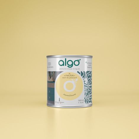 Peinture pour Meuble - Jaune Étourdi - 2L / Mat