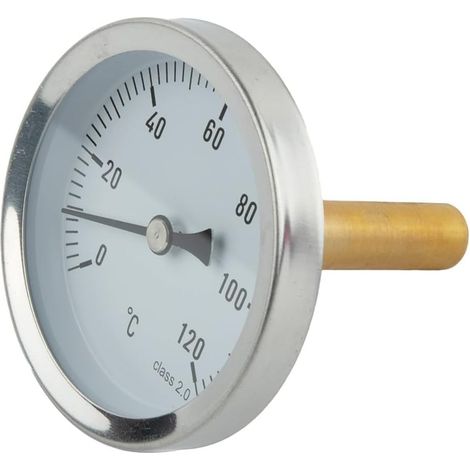 Thermomètre analogique 0-120 avec guide de cuisson la viande (1/5)