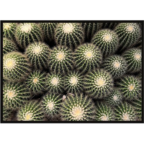 Póster con marco 53x73 cm Cactus P1058 (1/3)