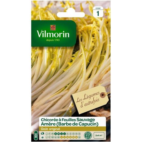 Sachet graines Chicorée à feuilles sauvage Amère Barbe de capucin