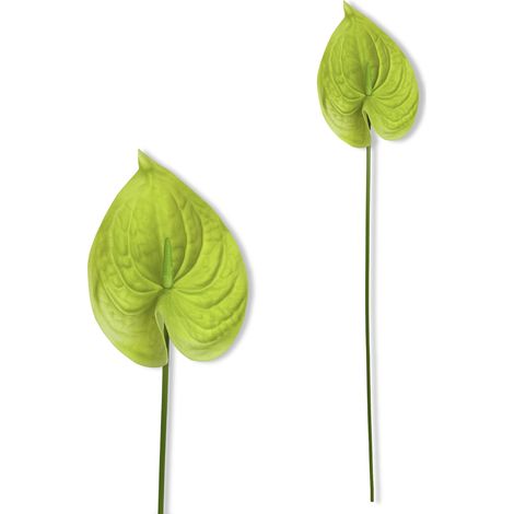 Branche - Anthurium mousse verte 57 cm (1/5)