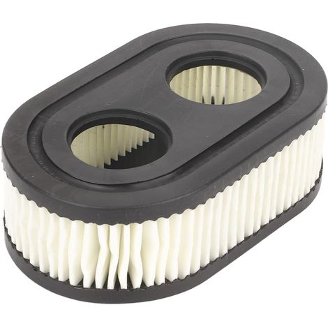Remplacement du Filtre à Air pour Viking MB 448.1 T pour RMA 448.1, Filtre à Air pour Tondeuse à Gazon, Prise d'air du Moteur, éviter Le Remplacement du Filtre (1/5)