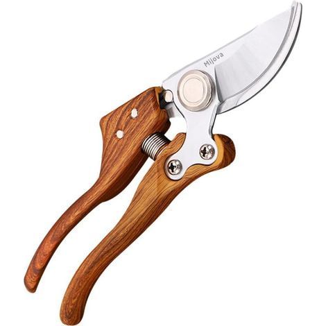 Forbici da giardino manuali professionali: cesoie per la cura del giardino con impugnatura (1/5)
