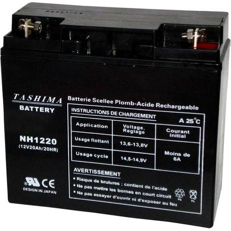 Batterie 12V 20Ah pour tondeuse autoportée – Technologie gel/AGM étanche – Démarrages rapides et efficaces – Compatible Castelgarden, Honda, Stiga – Tashima
