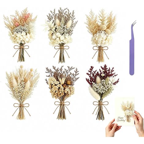 6 Pcs Fleurs Séchées, Rose Fleurs Sechees Naturelles, Mini Bouquet Fleurs Séchées pour Petits Cadres Photo, Bricolage,Scrapbook Cadre Photo Décoration Nail Art Artisanat(Blanc) (1/5)