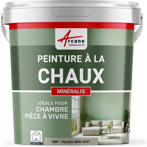 Peinture chaux, naturelle : peinture sans émanation, mineralis - 15 m² (2.5 kg en 1 couche) Tilleul Gris Vert - ARCANE INDUSTRIES (1/4)