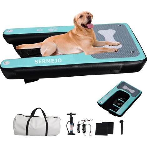 Rampe Piscine 150x100cm Dog Pool Schwimminsel pour Hunde Catzen 100 kg Seen Fluss (1/5)