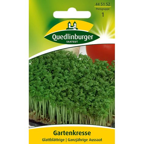 Quedlinburger Saatgut – Cresson alénois à feuilles lisses – Graines d'herbes aromatiques, annuel, récolte 1 à 3 semaines après le semis