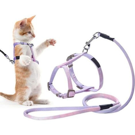 Ensemble harnais pour chat : harnais, laisse et collier pour chats  harnais réglable pour chatons  harnais multi-usages pour animaux (1/5)