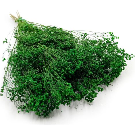Flor de retama seca - Retama - Verde (1/5)