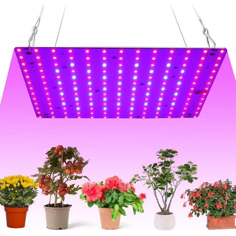 LED Plant Grow Light (169 LEDs), Red-Blue Spectrum, Energy Efficient 12W Hanging Lamp, European Standard Plug, Ideal for Greenhouses/Vegetables/Flowers [Energy Class F] (1/5)