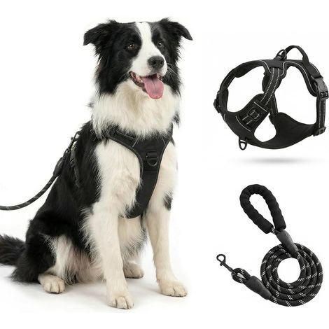 Hassle-free Dog Harness - Reflective Dog Accessory - Soft Padded Vest, Adjustable Reflective Vest with Attachment, Black, M (1/5)