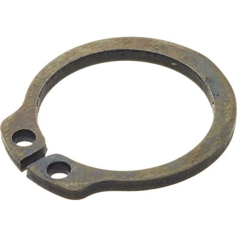 Anillo de retenci贸n CARRARO CI024776