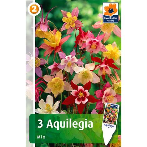 Semi per Prato Universale Aquilegia Miscuglio Sgaravatti 20 Pezzi