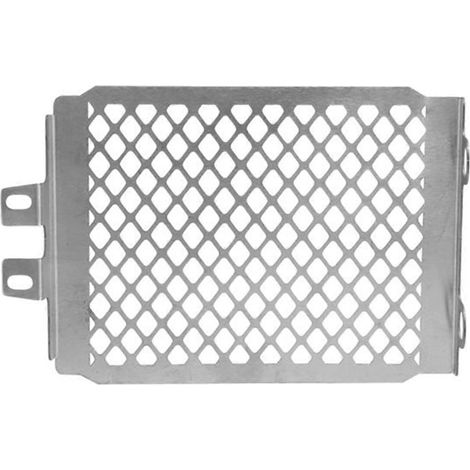 Grille de protection de radiateur, cache de protection argenté (1/5)