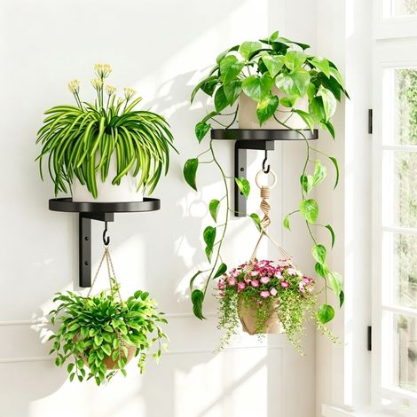 BOMCLAP Support mural avec crochet pour plantes, en fer antirouille, étagère minimaliste pour plantes d'intérieur (lot de 2) (1/5)