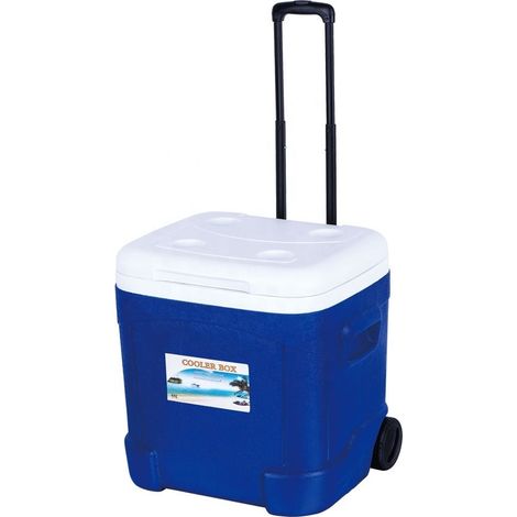 Nevera deportiva con ruedas de 55 litros (1/4)