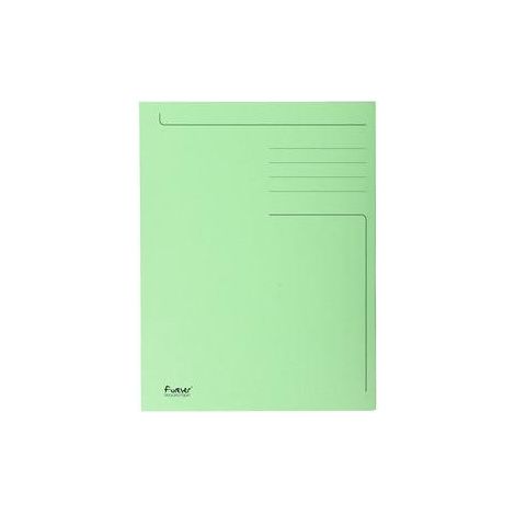 Exacompta 449013E Sammelmappe Grün