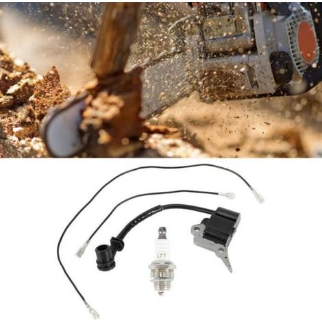 Module Bougie bobine d'allumage pour tronçonneuse Zenoah / Timberpro /Lawnflite (1/4)
