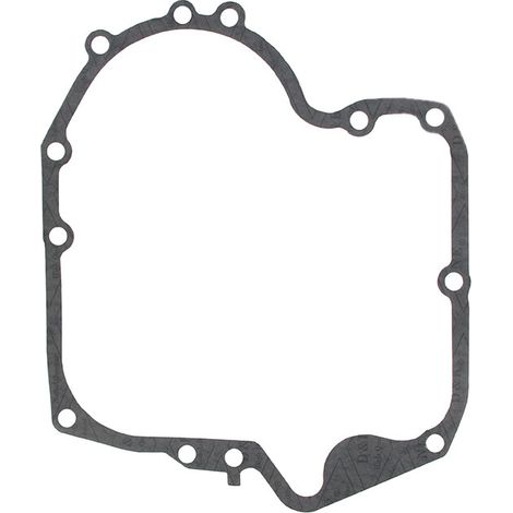 Guarnizione coppa BRIGGS ET STRATTON 697110