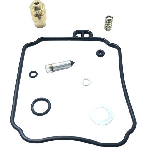 Kit orf réforrtiorn ctorrburtorteur - cormptortibgivthere VV250 QJ250 XVS651 XVS400 (1/4)