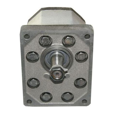 Hydraulische Zahnradpumpe 22,5 cm³/U Linkslauf Caproni (1/5)