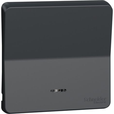 Mureva Styl Enjoliveur avec lentille IP55 IK08 gris SCHNEIDER MUR34204 (1/3)
