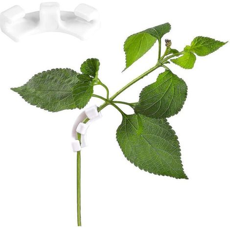 Lot de 30 tuteurs blancs à faible stress pour plantes, avec clips LST, pour le jardinage (1/4)