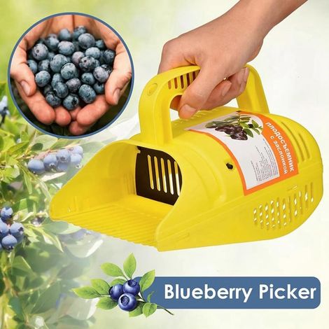 Pince à Myrtilles Ergonomique, Outil de Ramassage Myrtilles en Plastique avec Poignée Douce pour Jardin et Récolte (1/5)