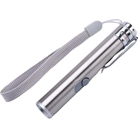 Jouet pour animaux rechargeable via USB, pointeur laser pour le dressage des chats avec lampe torche LED (1/3)