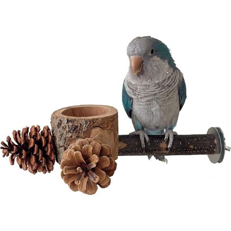 2 Pcs Bird Perch with Safe Bowl Wood & Pinecones - Bird Toys Chew Toys 100% Natural & Durable for Cockatiel, Conure, Budgie, Lovebird, Parakeet - Birdcage Accessory for Foraging & Oral Health
