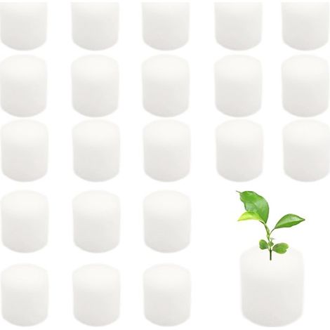 Éponges hydroponiques 100 pièces – Supports de germination pour semis et culture de légumes – Accessoires pour hydroponie (1/5)