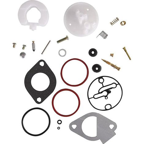 Kit de réparation de carburateur pour tondeuse à gazon, kit de réfection complet pour moteurs Briggs & Stratton 11-19 CV, référence 796184, compatible avec les carburateurs Nikki. (1/5)