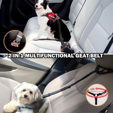 Ceinture Sécurité Chien Voiture - Harnais Réglable 55-75 cm avec Élastique et Clip Pivotant 360° - Pour Transport Automobile Sécurisé - 2 Pièces (1/5)