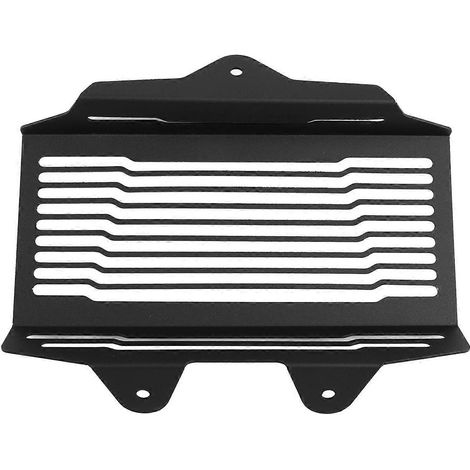 Cache-radiateur moto compatible avec R12 NINET 2024 et 2025 (1/5)