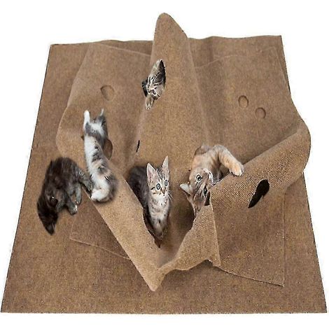 Tapis d'activité pour animaux de compagnie, jouet à mâcher pour chat, couverture d'entraînement à la morsure pour animaux de compagnie, anti-stress WCC (1/5)