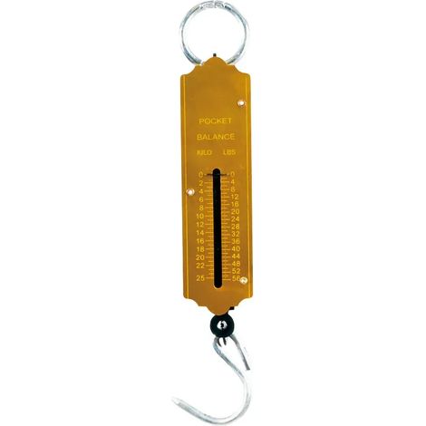 Romaine de poche - peson - 25kg (1/3)